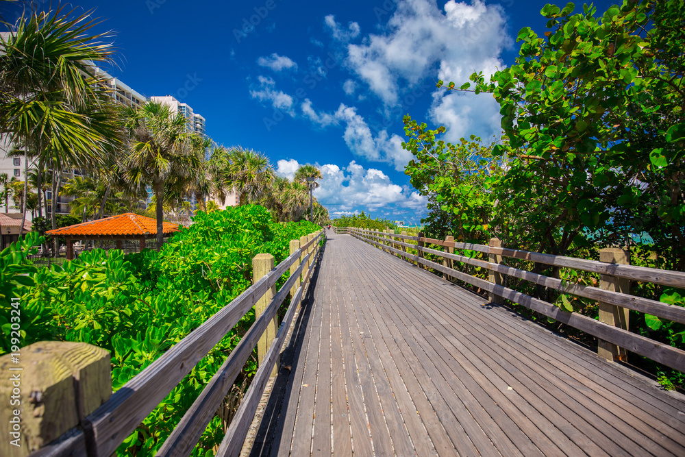 Walkway to famous South Beach, Miami Beach, Florida. USA. Walkway to famous South Beach, Miami Beach, Florida. USA.