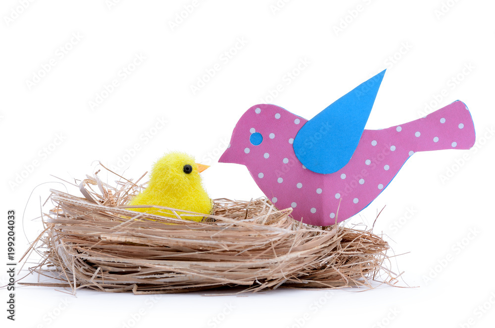 Bird mother takes care of the baby in the nest Stock Photo | Adobe Stock