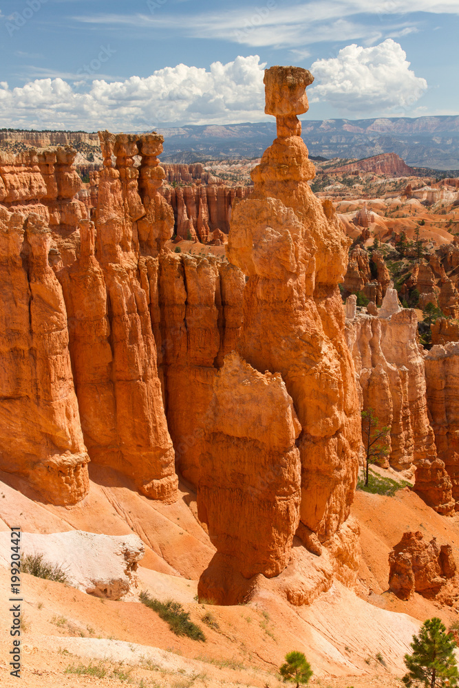 Bryce Canyon 19