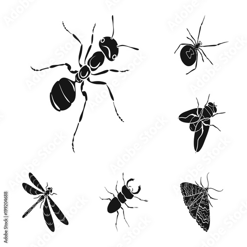 Different kinds of insects black icons in set collection for design. Insect arthropod vector isometric symbol stock web illustration.