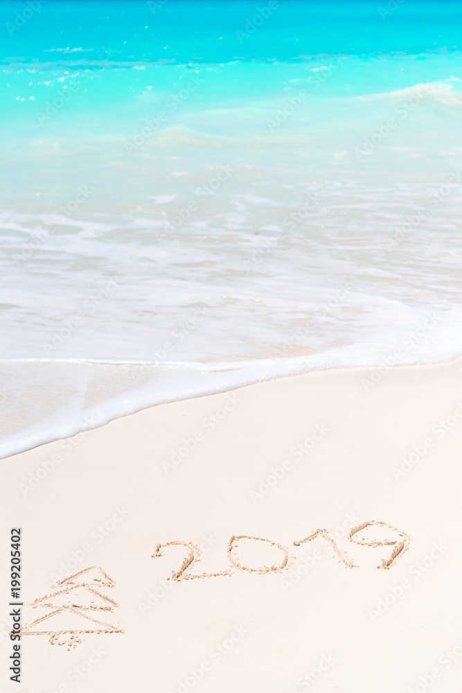 Fototapeta premium 2019 and firtree painting on sandy white beach