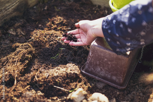 Someone rakes about in the soil and prepares the ground for the garden