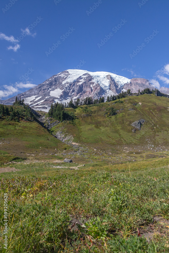 Mount Rainier and alpine meadows from the Skyline Trail.