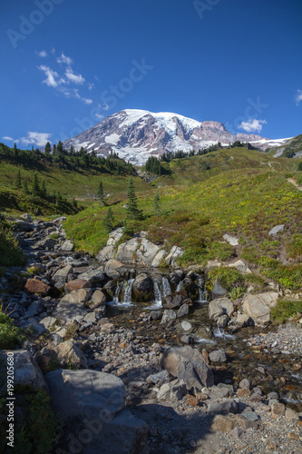 Stream across alpine meadows leads to views of Mount Rainier.
