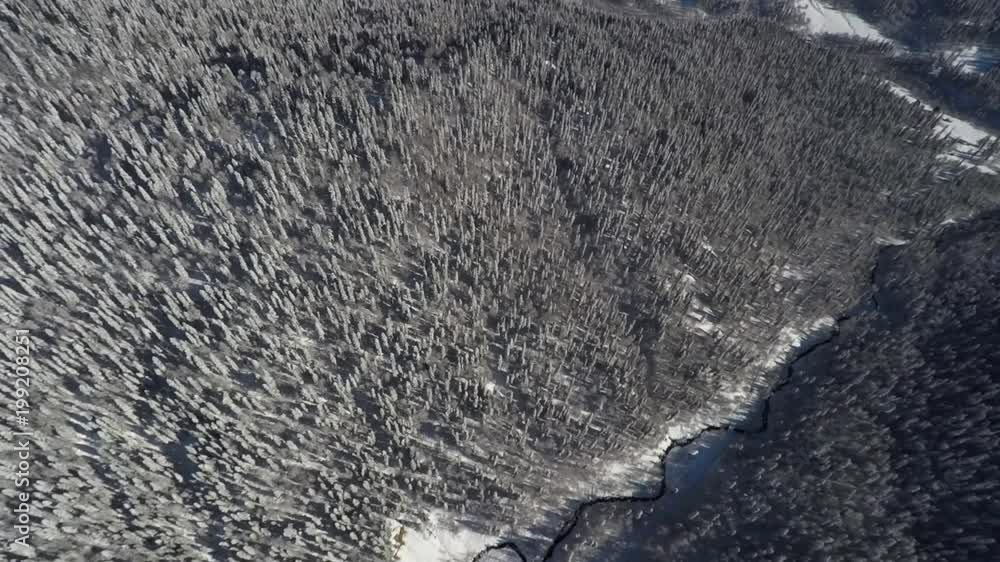 Panoramic Aerial Winter Forest Panoramic Aerial Winter Forest