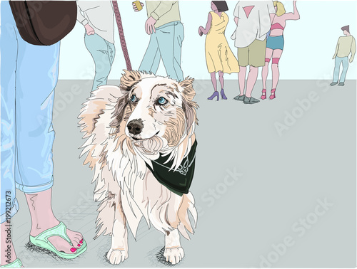 Hand drawn vector illustration. A cute dog looks up with a human, questioning expression, to her owner while out at a city street festival. Shepherd, Collie mix. Isolated on a white background.