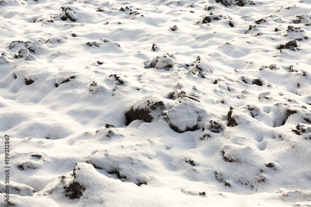land covered with snow, close-up land covered with snow, close-up