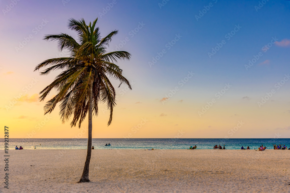 Tropical landscape at sunset. Caribbean idyllic beach.