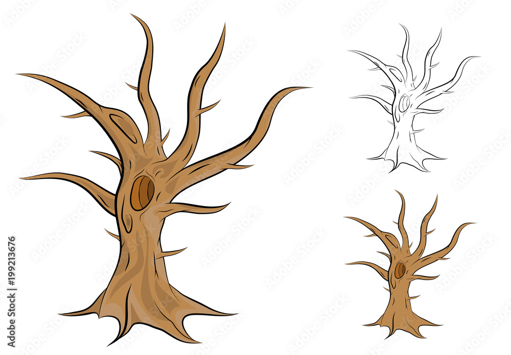 Old, single and leafless tree vector illustration in outline and colored  version with shadows. Stock Vector | Adobe Stock