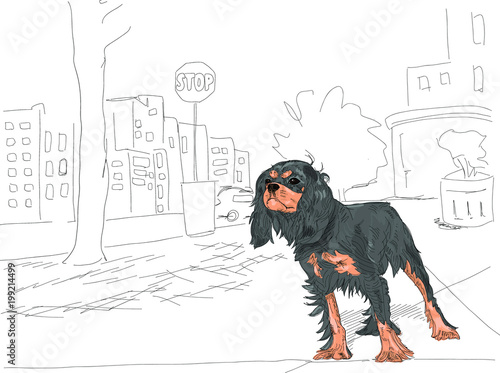 Vector illustration. Cute little black dog stands alert on a city street, as if she is hailing a taxi cab. Black and white except for the dog.