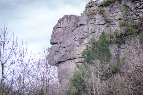 Stone Face Rock Zoom Lee County Vriginia Pennington Gap St Charles