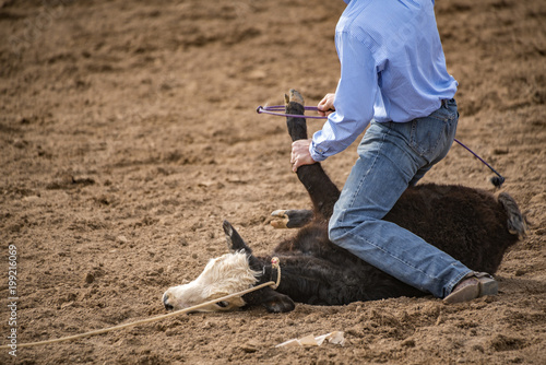 Calf Tie Down