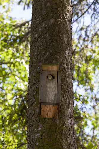 birdhouse in park