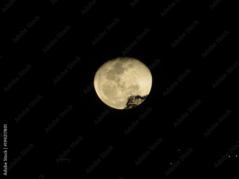Fototapeta premium Fotografías tomadas por una amante de este precioso arte; el sol, la luna, los paisajes son mi mayor atracción para captar con la lente.