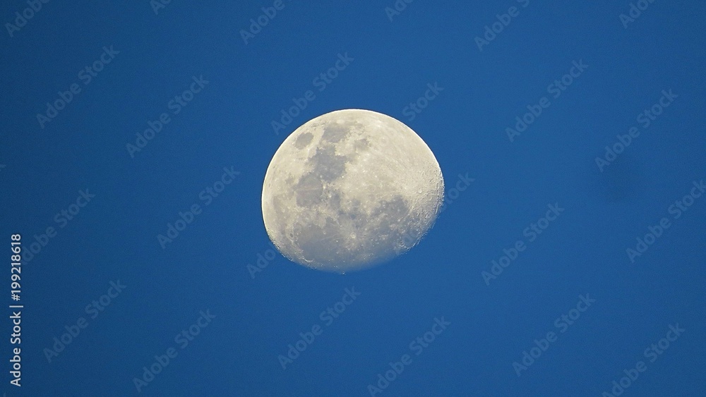 Fotografías tomadas por una amante de este precioso arte; el sol, la luna, los paisajes son mi mayor atracción para captar con la lente. Fotografías tomadas por una amante de este precioso arte; el sol, la luna, los paisajes son mi mayor atracción para captar con la lente.