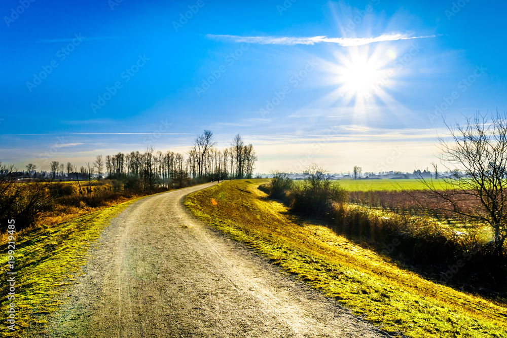 Obraz premium Low winter sun over the Dyke along the Alouette River in the Pitt Polder at the town of Maple Ridge in the Fraser Valley of British Columbia, Canada on a clear and cold winter day