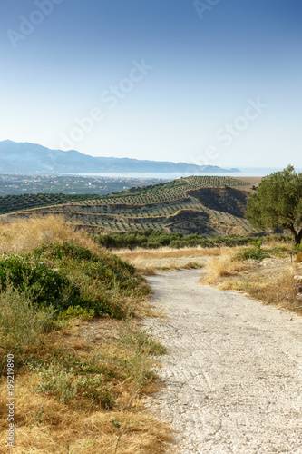 Agricultural field in Crete, Greece
