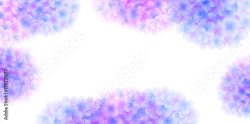 あじさい　梅雨　花　背景