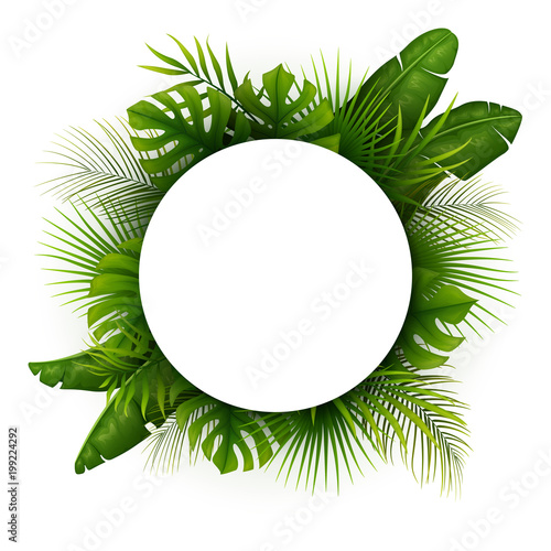 Tropical green leaves with white round frame place for text isolated on white background