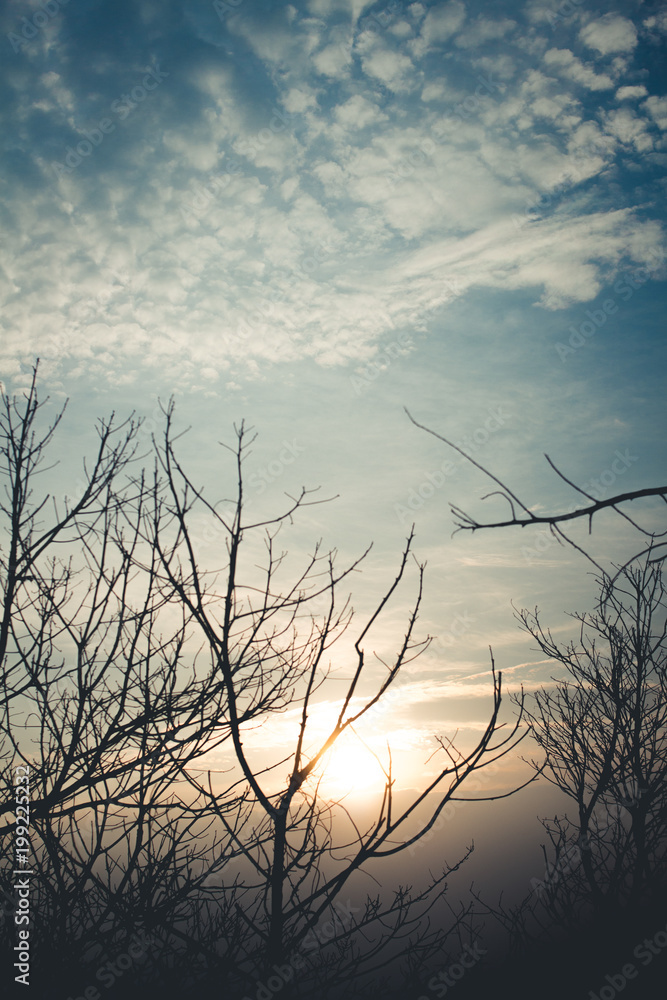 Fototapeta premium Sunset and Beautiful sky evening In summer on the mountain