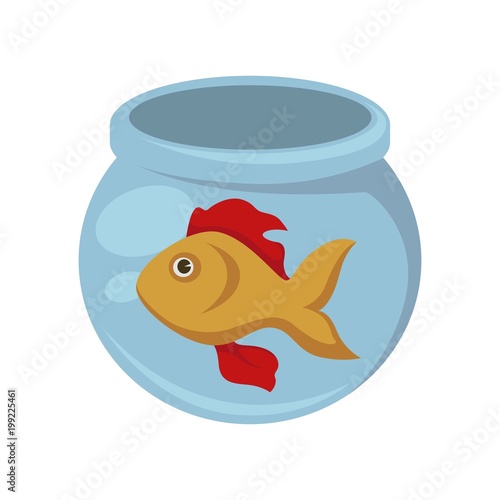 Gold fish with red flippers in round aquarium