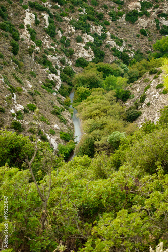 River in valley