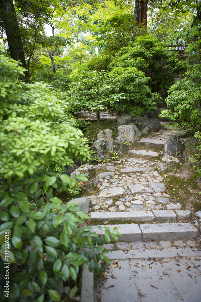 石段 石段