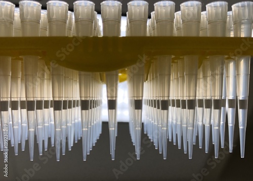A Rack of Micropipette Tips