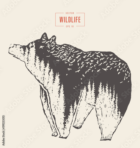 Silhouette wild bear forest wildlife drawn vector