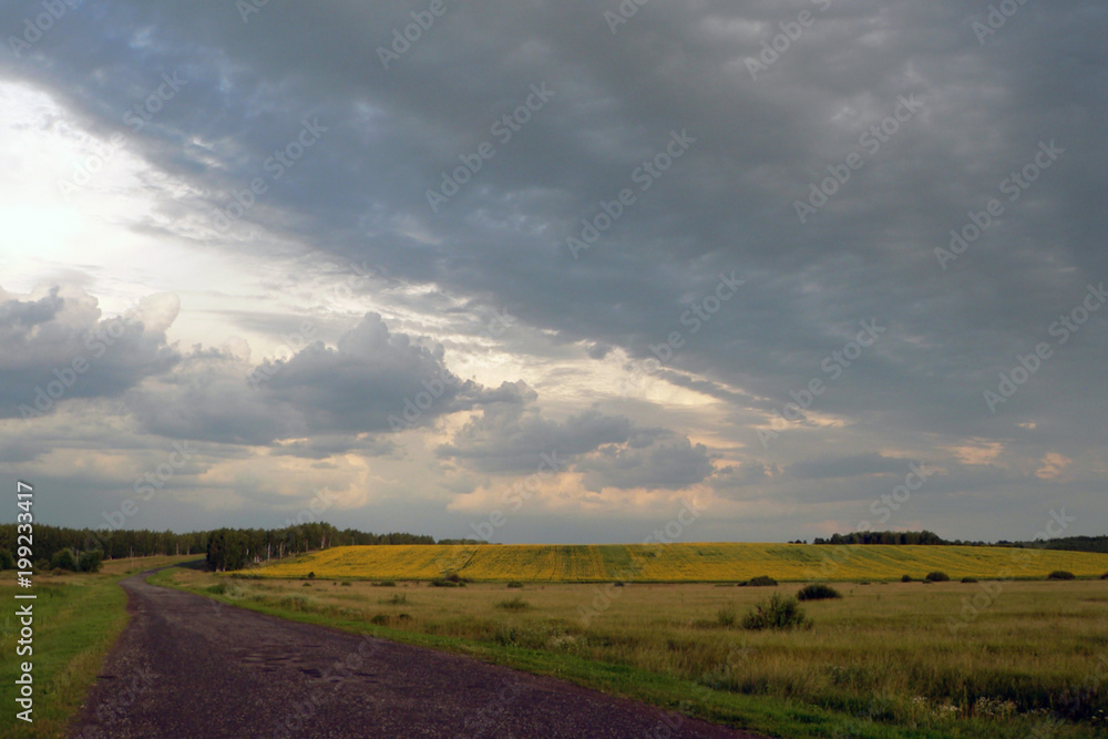 the road to the yellow field