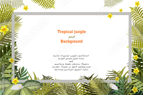 Tropical island spring of beautiful plants green and adstract bachgrounds. photo