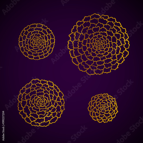 Set of four outline golden marigolds