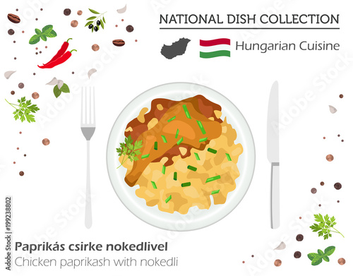 Hungarian Cuisine. European national dish collection. Chicken paprikash with nikedli  isolated on white, infographic