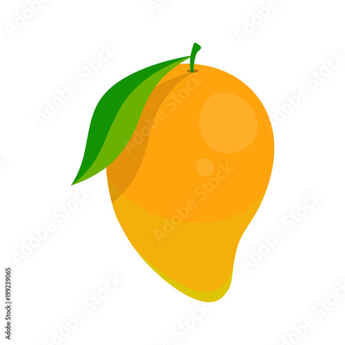 picture of mango