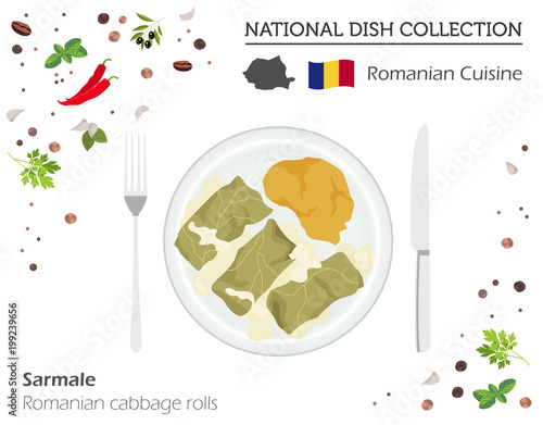 Romanian  Cuisine. European national dish collection. Cabbage rolls isolated on white, infographic