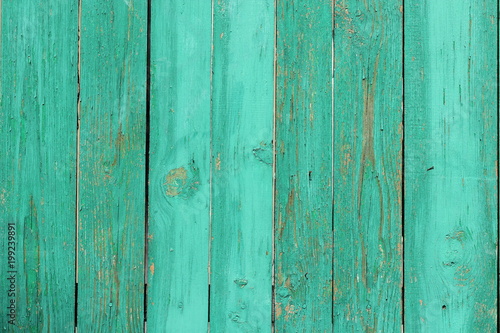 The texture of wooden boards green