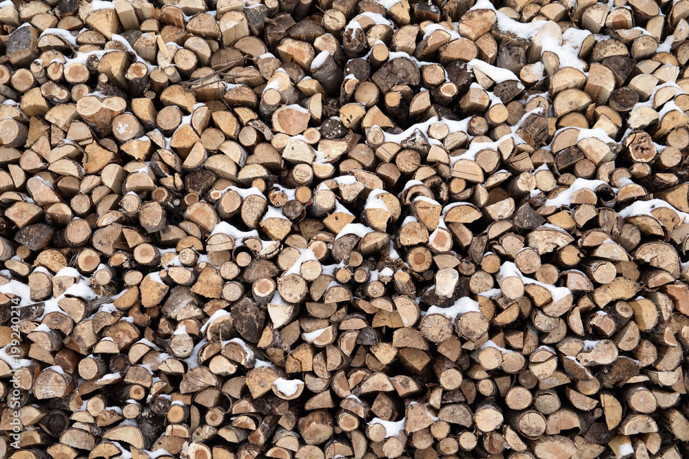 Background of wooden logs. Year rings. Pile wood Background of wooden logs. Year rings. Pile wood