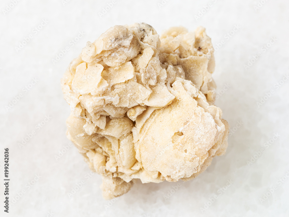 raw coquina limestone stone on white raw coquina limestone stone on white