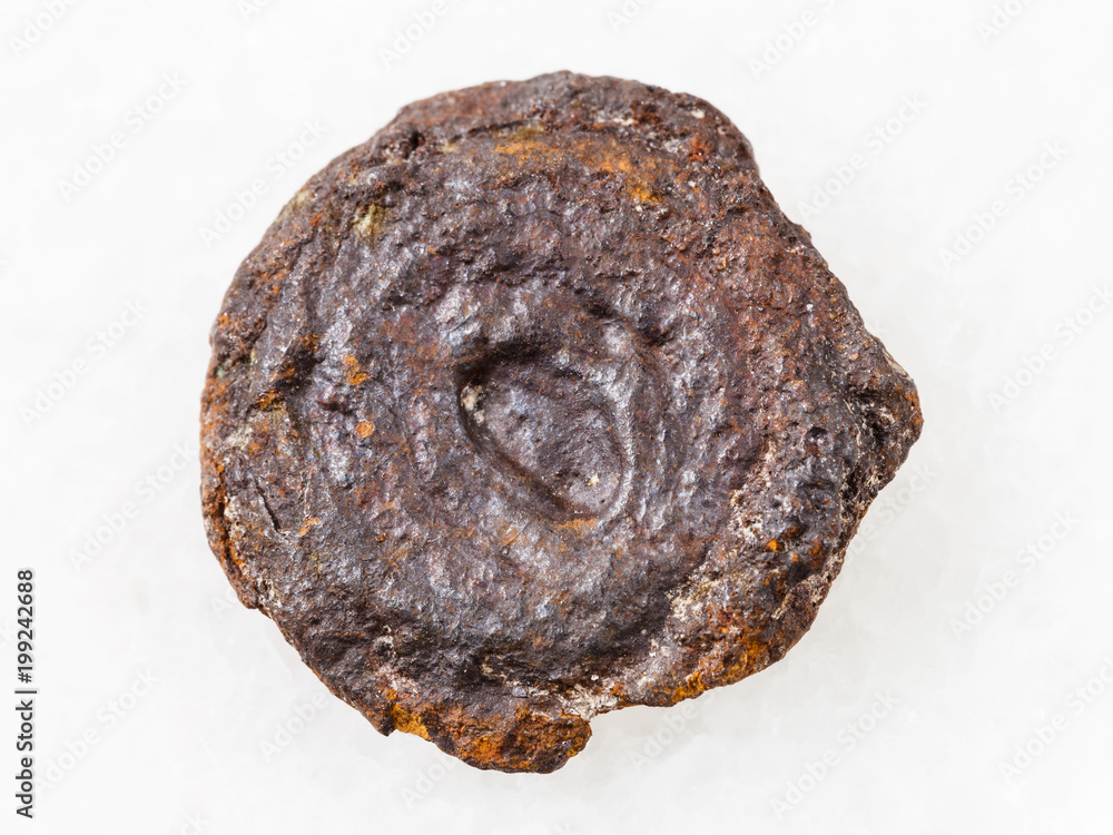 Fototapeta premium raw lake iron ore coin type (limonite) on white
