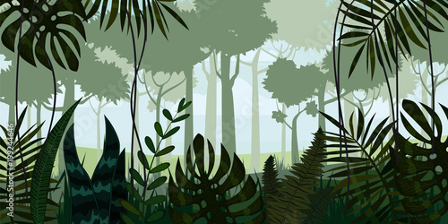 Vector tropical rainforest Jungle landscape background with leaves, fern, isolated, illustrations