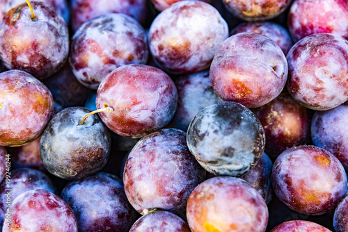 Pile of plum, closeup. Fresh sweet plum in local market.