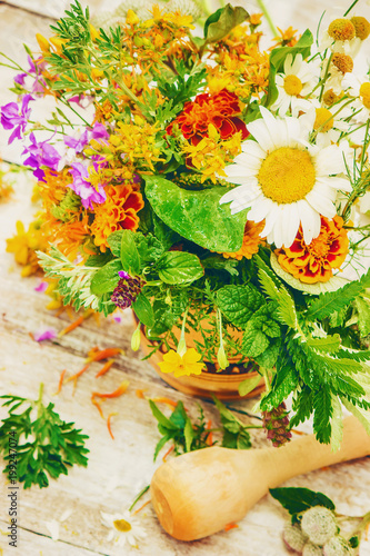 Herbs. Medicinal plants. Selective focus.   photo