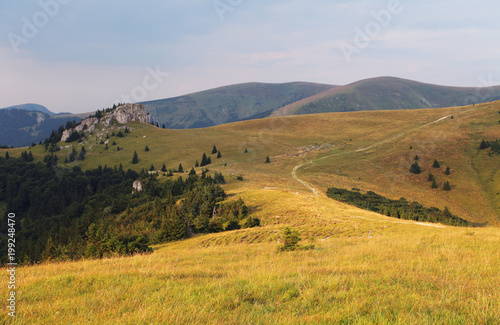 Meadow and forest in Fatras mountains © TTstudio