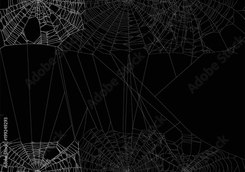 white spider large web isolated on black