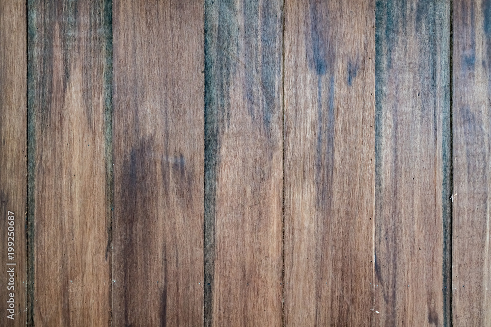 Obraz premium Wood texture