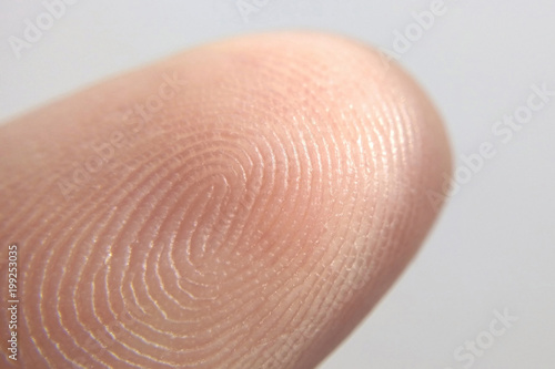 Close-up of fingerprint texture of finger skin