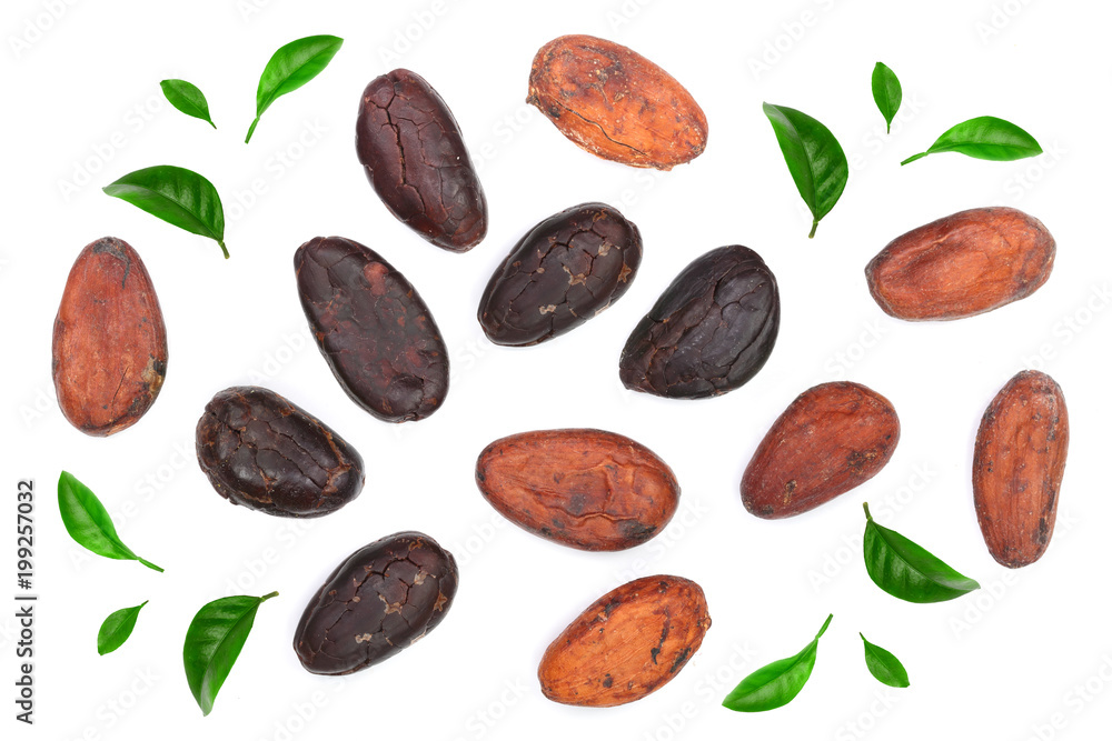 cocoa bean decorated with green leaves isolated on white background top view. Flat lay cocoa bean decorated with green leaves isolated on white background top view. Flat lay