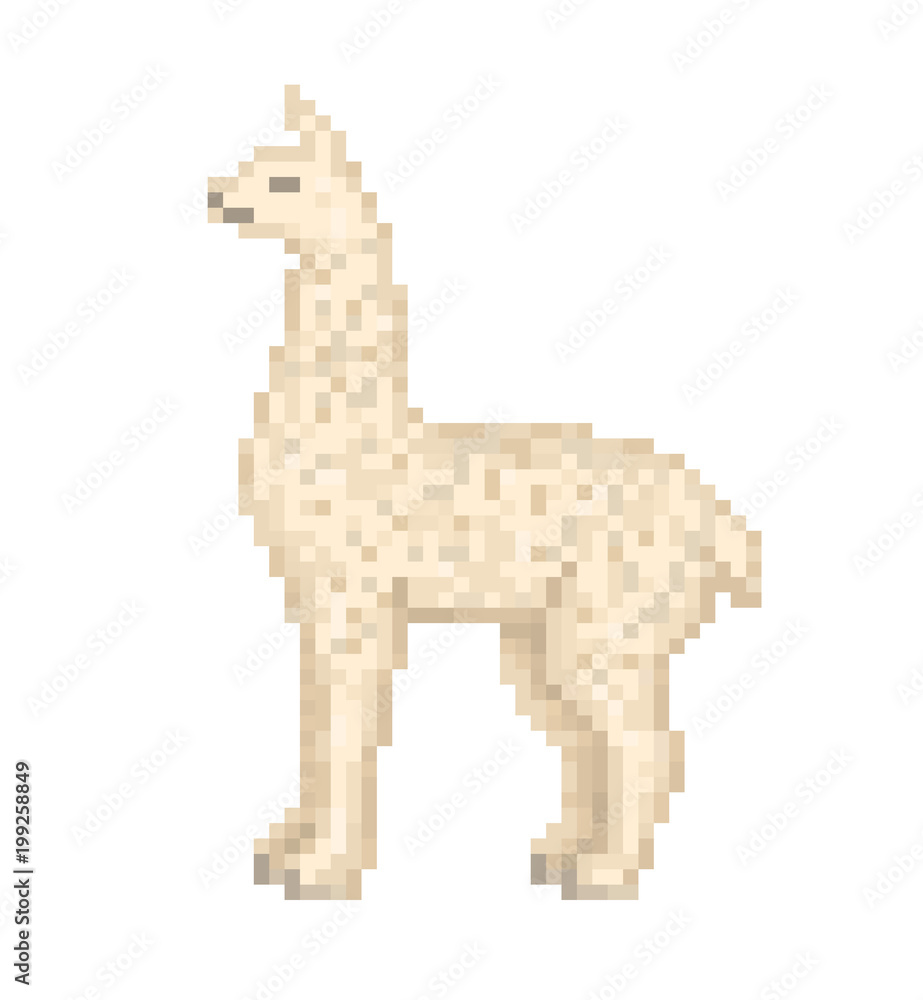 White llama standing on the ground, pixel art cartoon character isolated on  white background. Old school 8 bit slot machine pictogram. Retro 80s; 90s  video game graphics. Zoo/national park animal. Stock Vector |