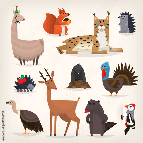 Various forest animals