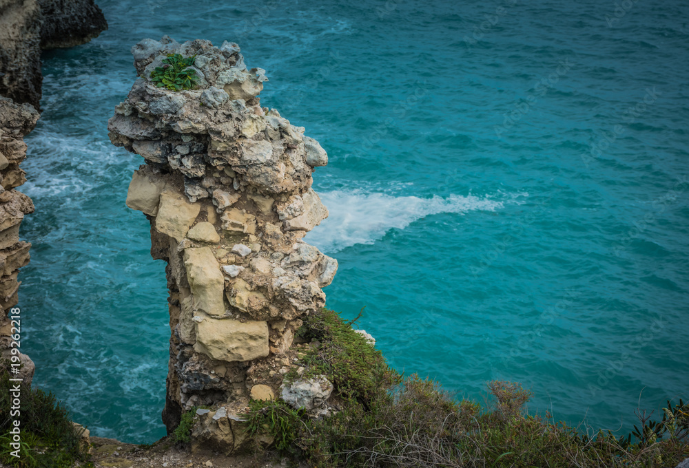 Salento Coastal View